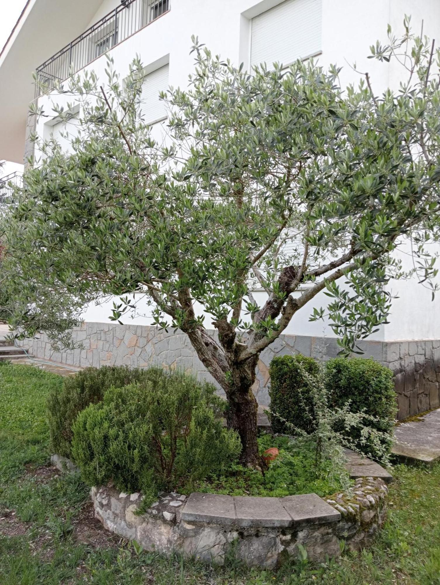 Apartamento-Casa Turistica L'Espigol سانت ليورينس دو موريونيز المظهر الخارجي الصورة